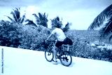 preview cold