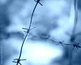 preview cold