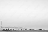 preview bw