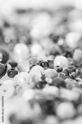 preview bw