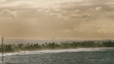 image to crop
