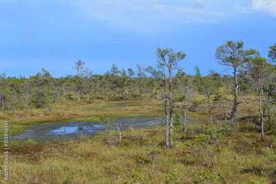 image to crop