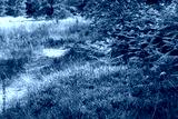 preview cold