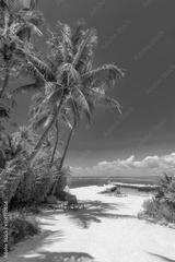 preview bw