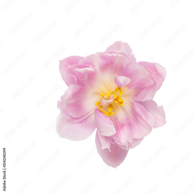 image to crop
