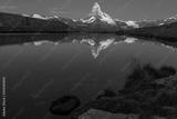 preview bw