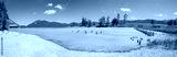preview cold