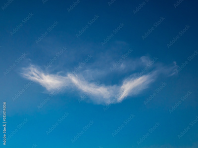 image to crop