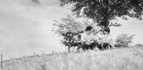 preview bw