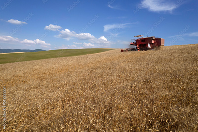 image to crop