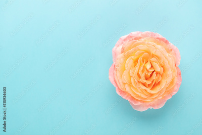 image to crop