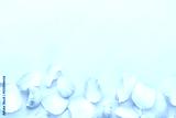 preview cold