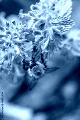 preview cold