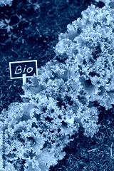 preview cold