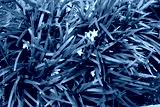 preview cold