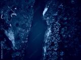 preview cold