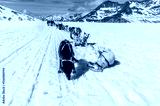 preview cold