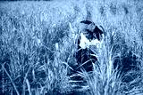 preview cold