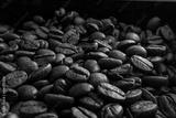 preview bw
