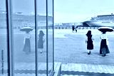 preview cold