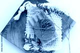 preview cold