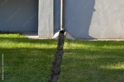 image to crop