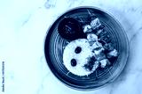 preview cold