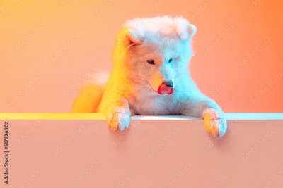 image to crop