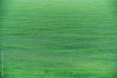 image to crop