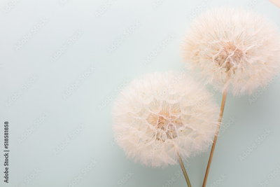 image to crop