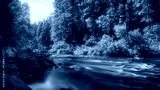 preview cold