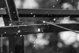 preview bw