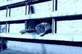 preview cold