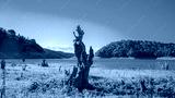 preview cold