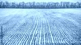 preview cold
