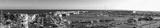 preview bw