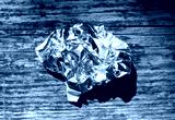 preview cold