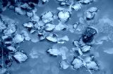 preview cold