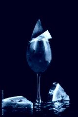 preview cold