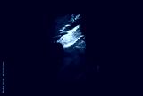 preview cold