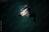 preview original