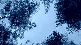 preview cold