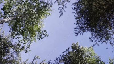 image to crop