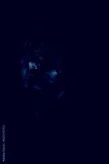 preview cold