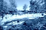 preview cold