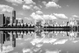 preview bw