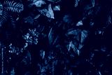 preview cold