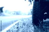preview cold