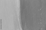 preview bw