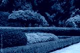 preview cold